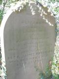 image of grave number 29371